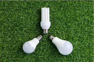 Energy Efficiency Lowering the Bills, Saving the Planet